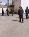 警犬的好苗子